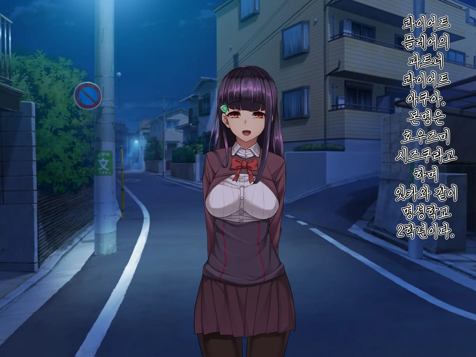 Twin Quiet II -Kasou Shinshoku Jaaku Ni Somaru Koku-